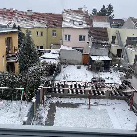 Cozy برنو
